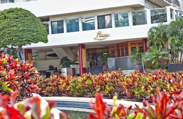Luana Waikiki 520 Condo Honolulu Exterior foto